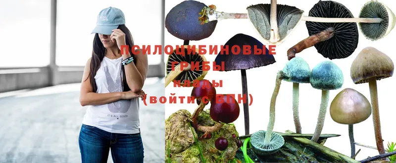 Галлюциногенные грибы Magic Shrooms  Белёв 